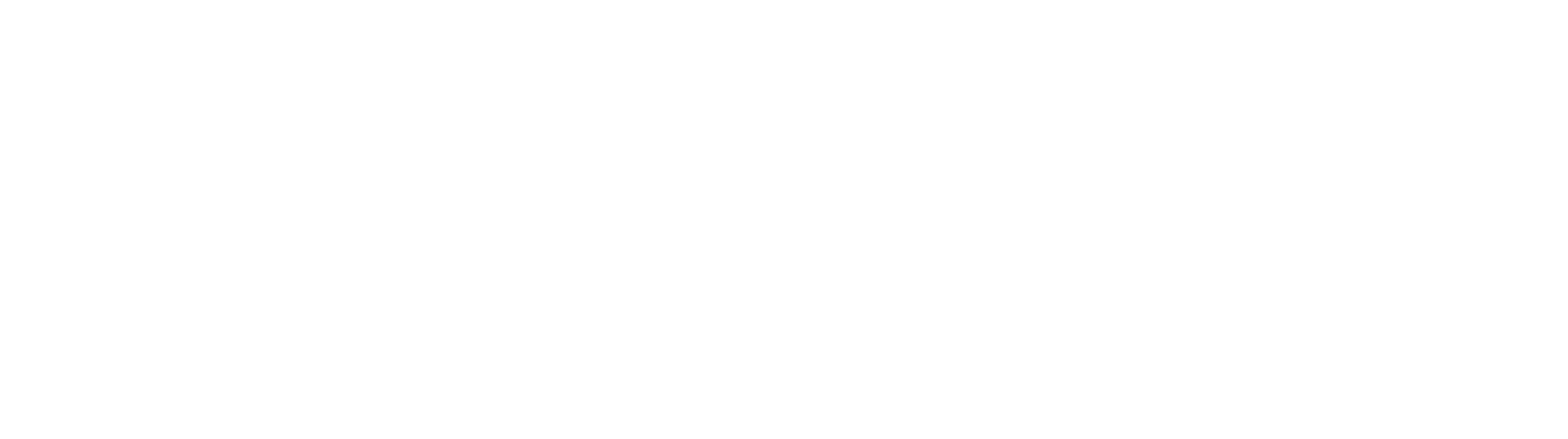CITY OF MCALLEN (2026 LOGO)